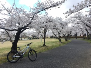 20200410 郡山市　開成山公園_200410_0016